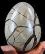 Septarian Dragon Egg Geode - Black Calcite Crystals #33990-3